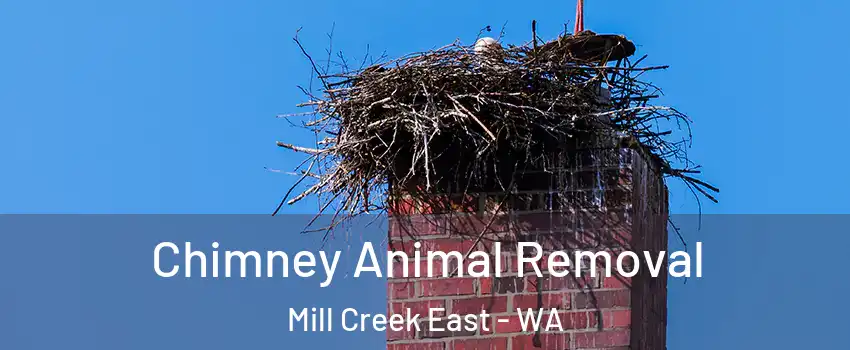  Chimney Animal Removal Mill Creek East - WA