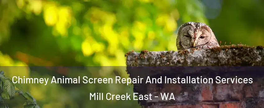  Chimney Animal Screen Repair And Installation Services Mill Creek East - WA