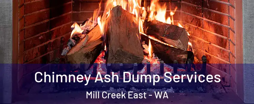  Chimney Ash Dump Services Mill Creek East - WA