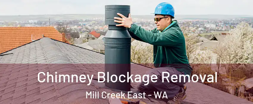  Chimney Blockage Removal Mill Creek East - WA