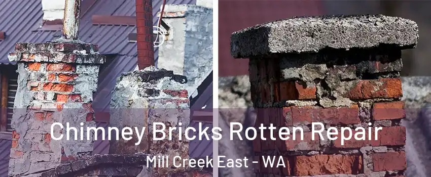  Chimney Bricks Rotten Repair Mill Creek East - WA