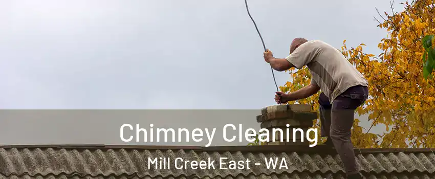  Chimney Cleaning Mill Creek East - WA