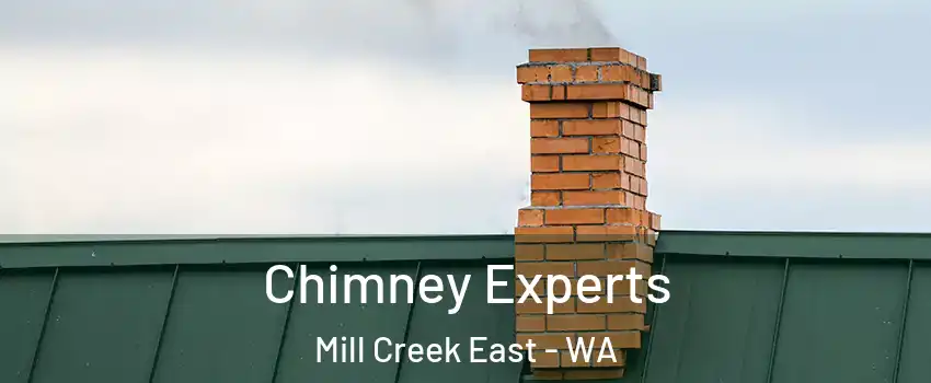  Chimney Experts Mill Creek East - WA