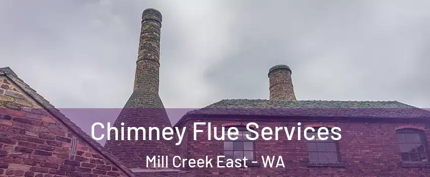  Chimney Flue Services Mill Creek East - WA