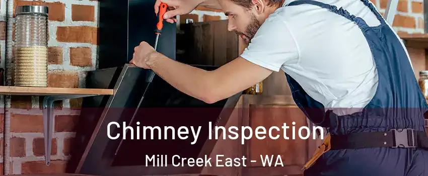  Chimney Inspection Mill Creek East - WA