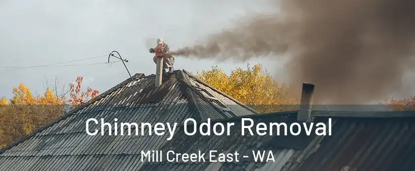  Chimney Odor Removal Mill Creek East - WA