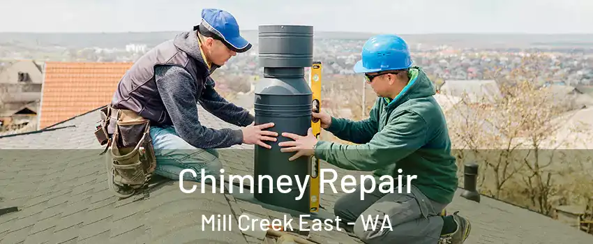  Chimney Repair Mill Creek East - WA