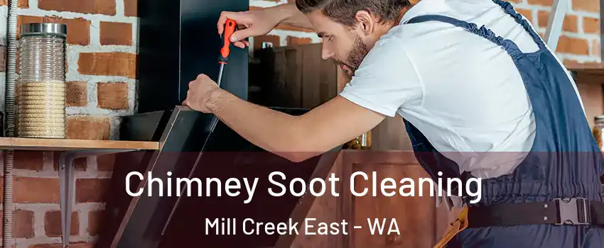 Chimney Soot Cleaning Mill Creek East - WA