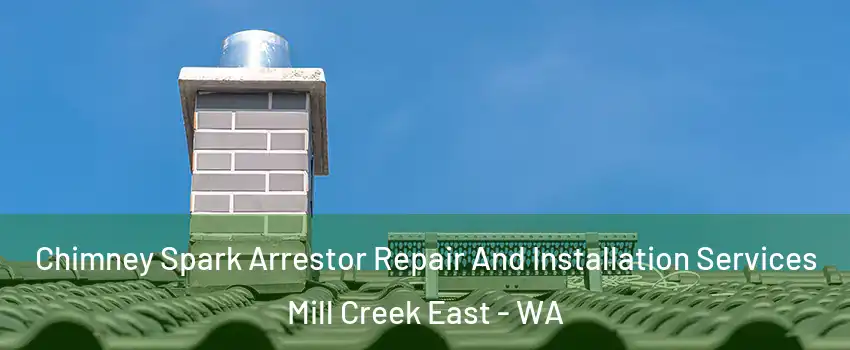  Chimney Spark Arrestor Repair And Installation Services Mill Creek East - WA