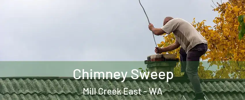  Chimney Sweep Mill Creek East - WA