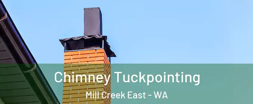  Chimney Tuckpointing Mill Creek East - WA