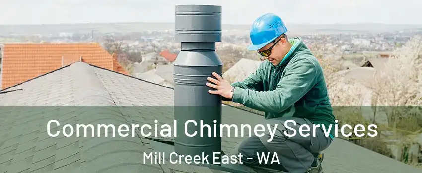  Commercial Chimney Services Mill Creek East - WA