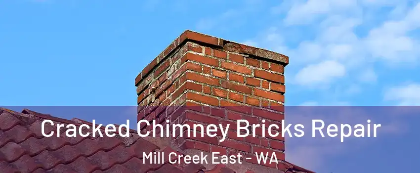  Cracked Chimney Bricks Repair Mill Creek East - WA