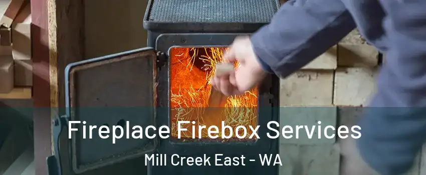  Fireplace Firebox Services Mill Creek East - WA