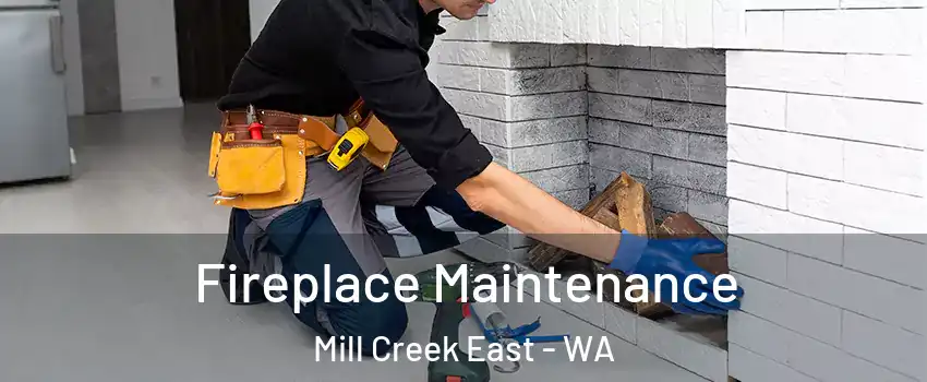  Fireplace Maintenance Mill Creek East - WA