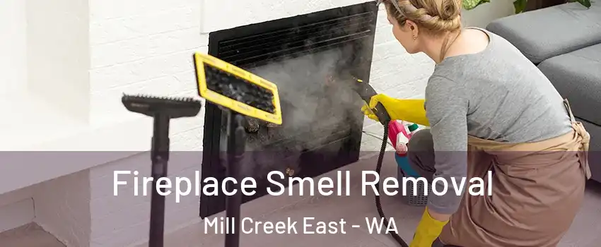  Fireplace Smell Removal Mill Creek East - WA