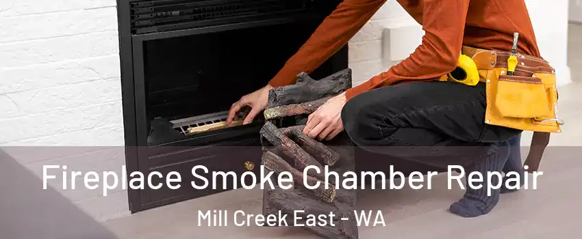  Fireplace Smoke Chamber Repair Mill Creek East - WA