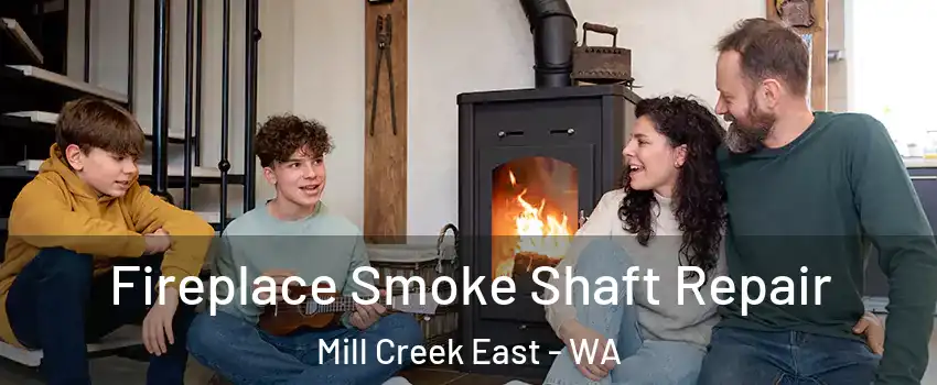  Fireplace Smoke Shaft Repair Mill Creek East - WA