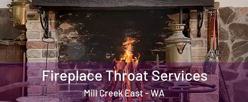  Fireplace Throat Services Mill Creek East - WA