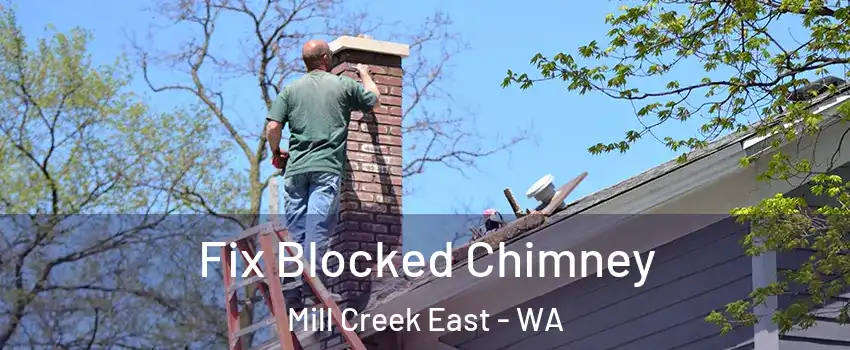  Fix Blocked Chimney Mill Creek East - WA