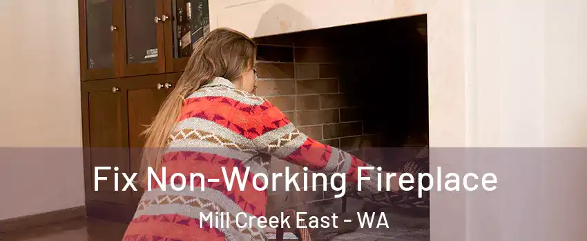  Fix Non-Working Fireplace Mill Creek East - WA