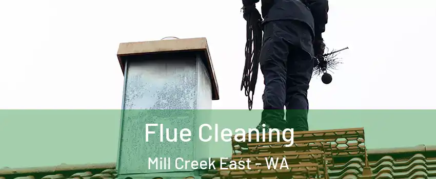  Flue Cleaning Mill Creek East - WA