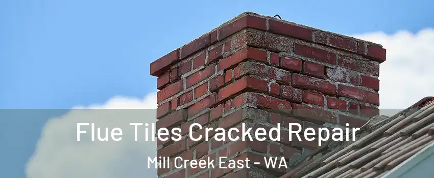  Flue Tiles Cracked Repair Mill Creek East - WA