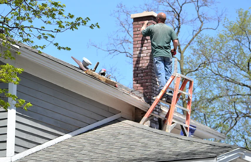 Chimney & Fireplace Inspections Services in Mill Creek East, WA