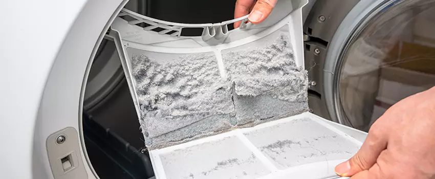 Best Dryer Lint Removal Company in Mill Creek East, Washington