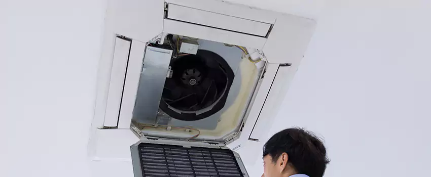 Benefits of Professional Air Duct Cleaning in Mill Creek East, Washington