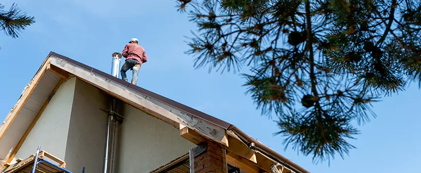 Birds Removal Contractors from Chimney in Mill Creek East, WA
