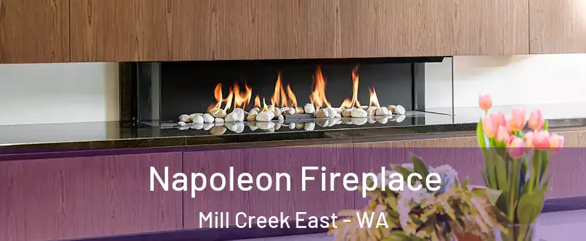  Napoleon Fireplace Mill Creek East - WA