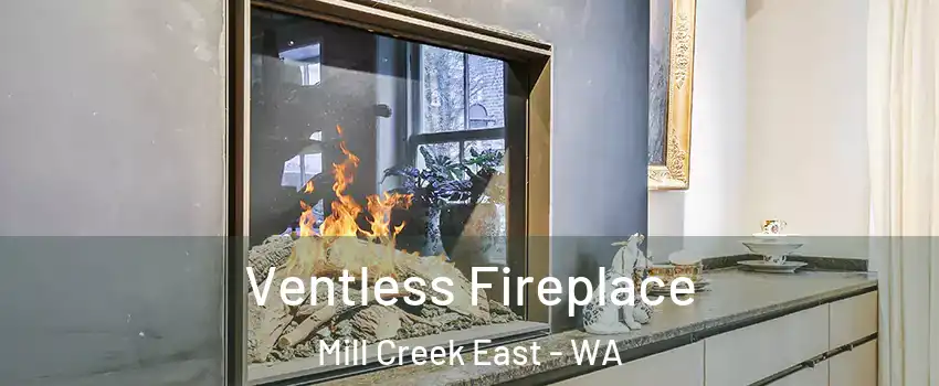  Ventless Fireplace Mill Creek East - WA